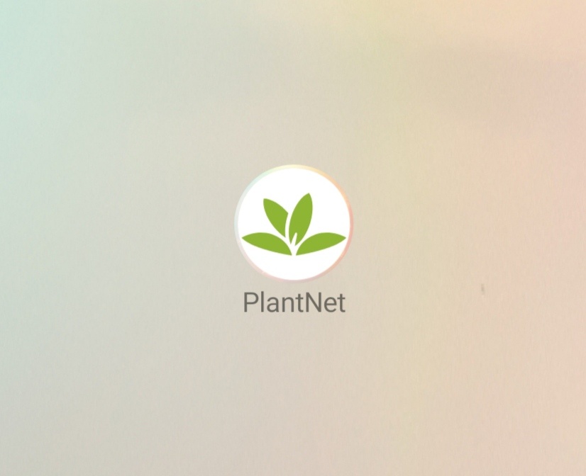 Приложение PlantNet