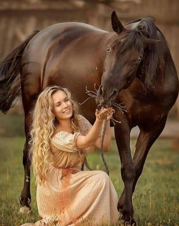 Раз лошадь. Раз лошадь. Девушка с лошадью. Кросс фриз фото. Резвая лошадь.