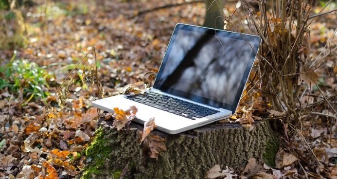 Намечен комплексный переход к цифровизации отрасли экологии и природопользования. Фото: pixabay.com