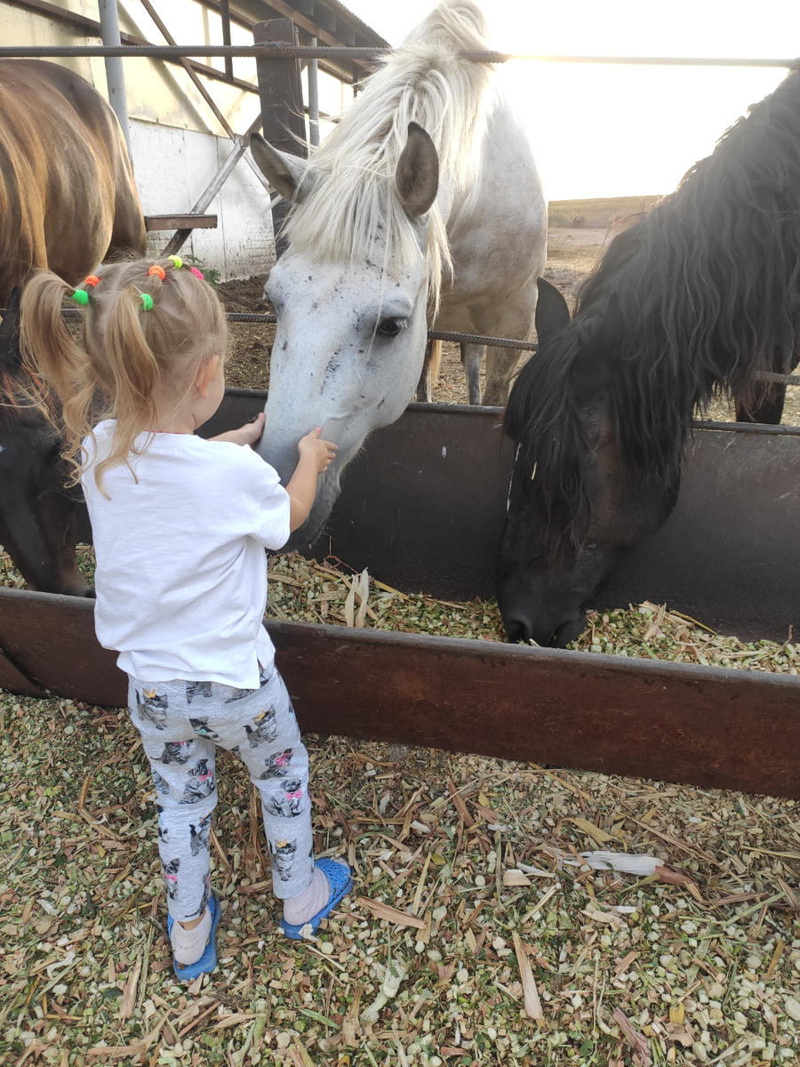 Дочь тоже любит лошадок