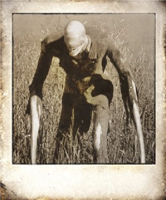      Впервые описываются и играют важную роль в кинофильме "Дом странных детей"