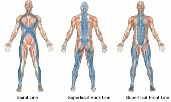 ok -свободный доступ