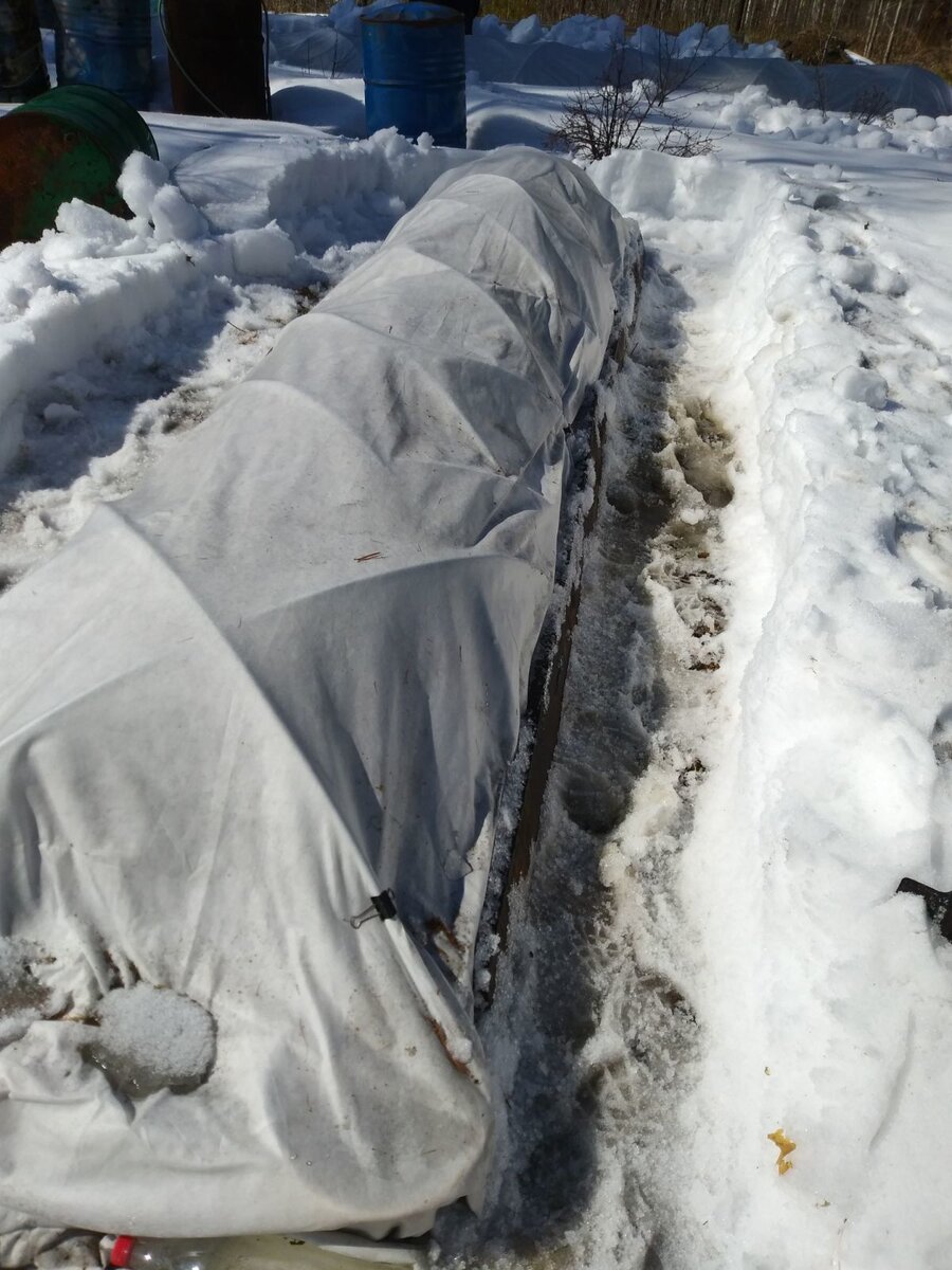 Розарий освобожден от снега.