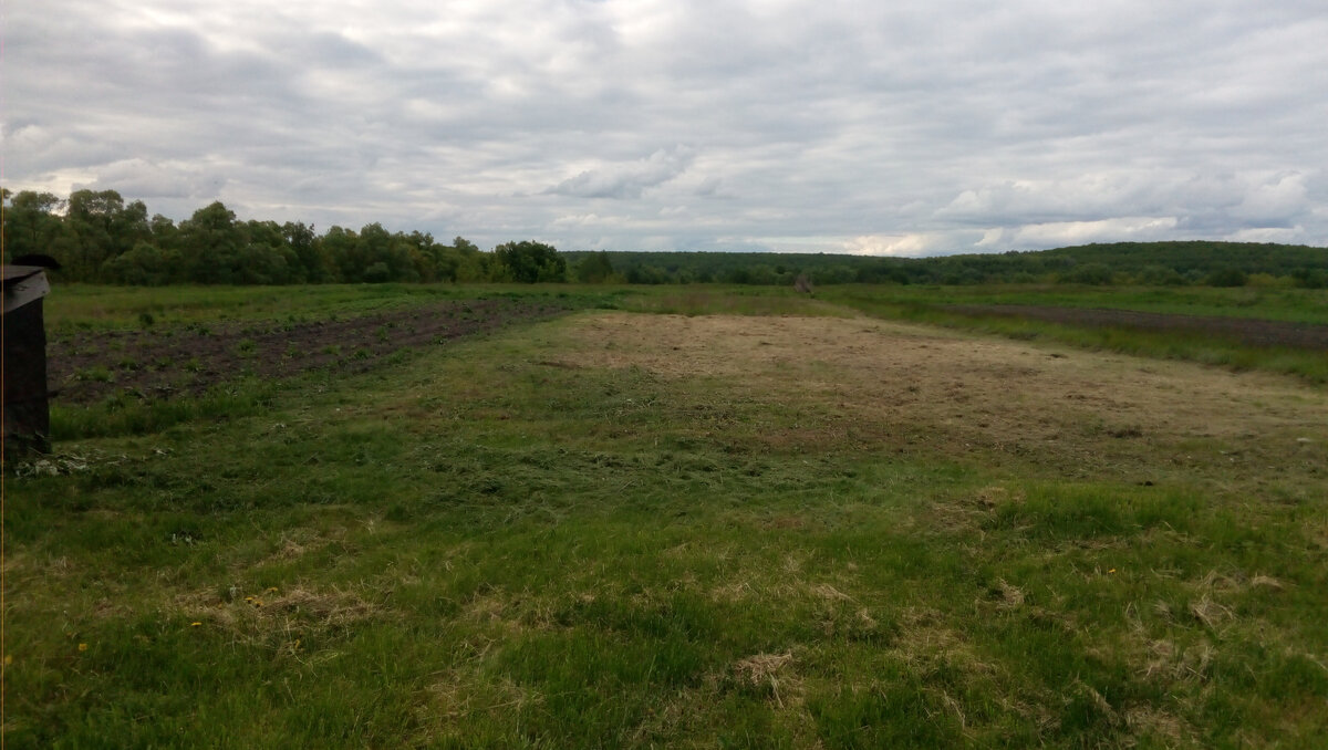 Обкосили заднюю часть участка