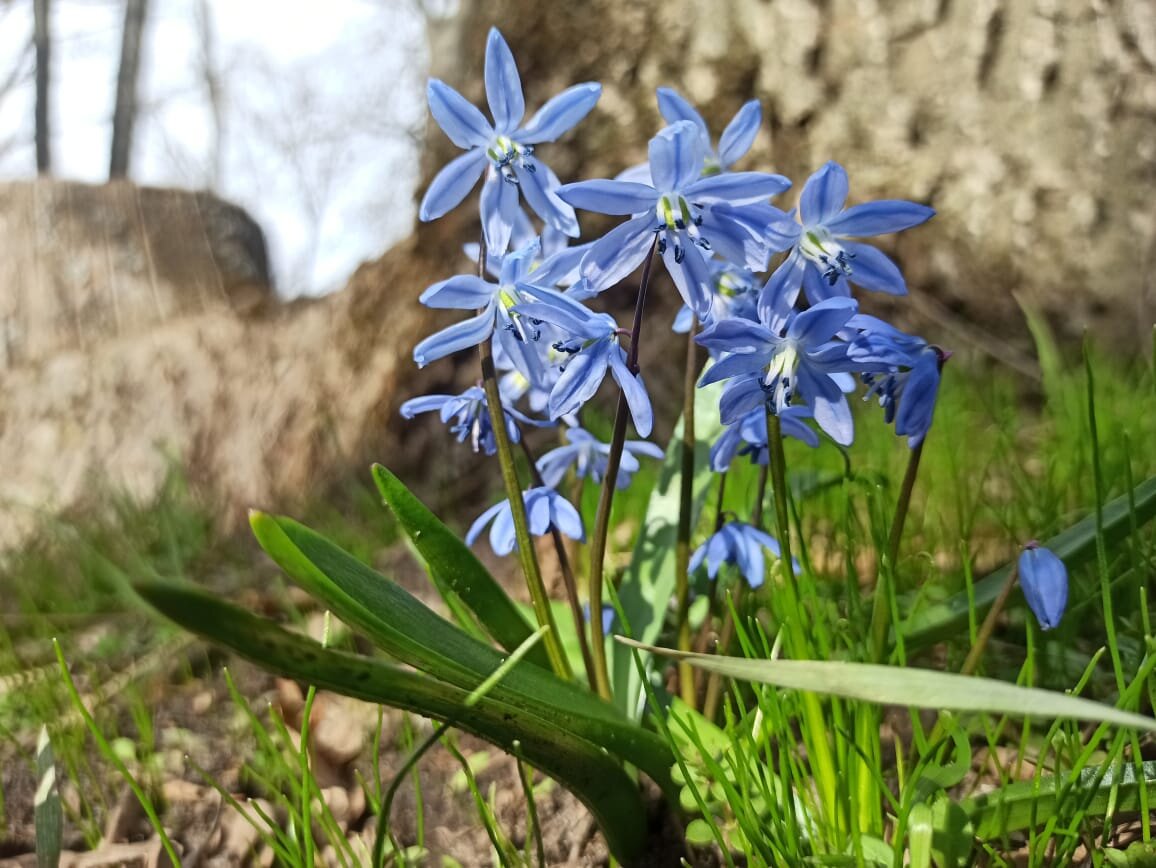 Фото Инны Желтухиной, сделано в Воронеже