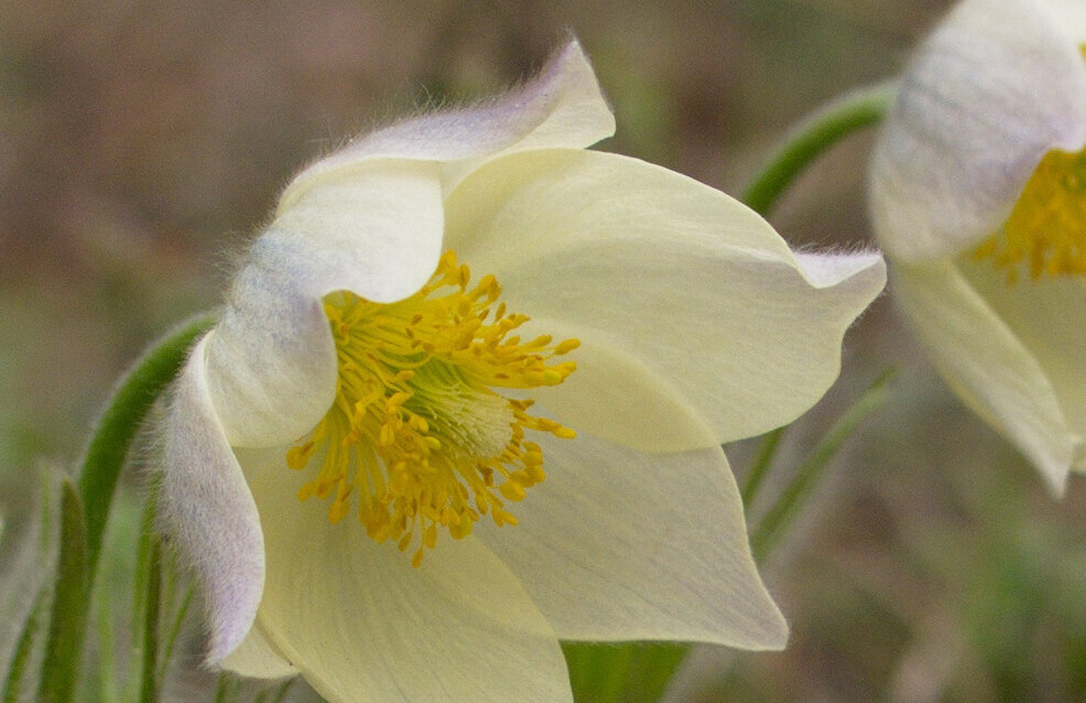 Вариативность процедуры под каждый случай