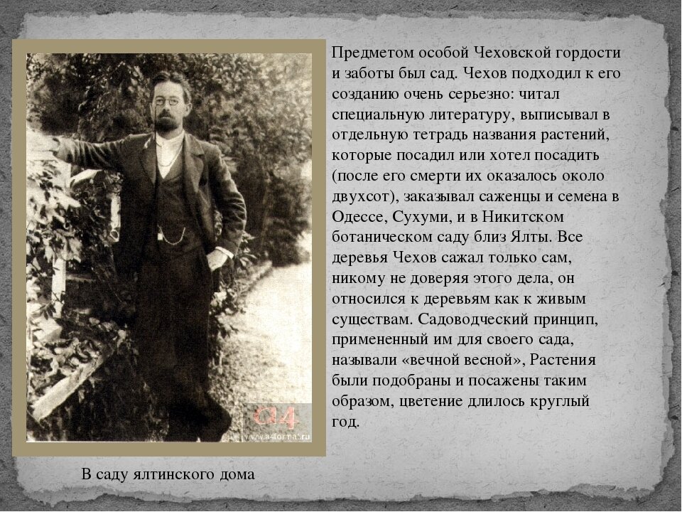 О ЧЕХОВЕ МОГУ ГОВОРИТЬ БЕСКОНЕЧНО.