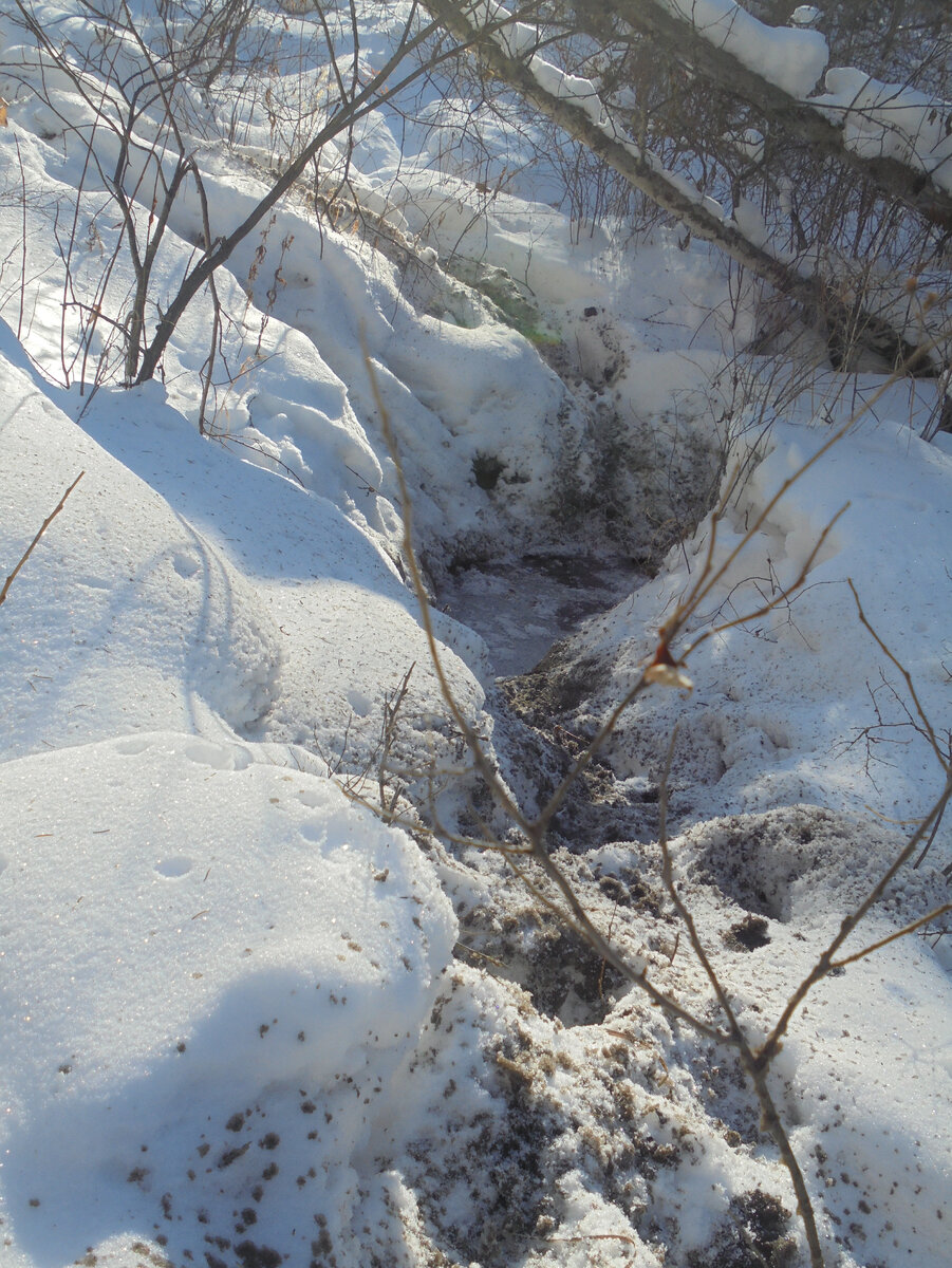 Кабан ванну принимал, хотя мороз под тридцать.