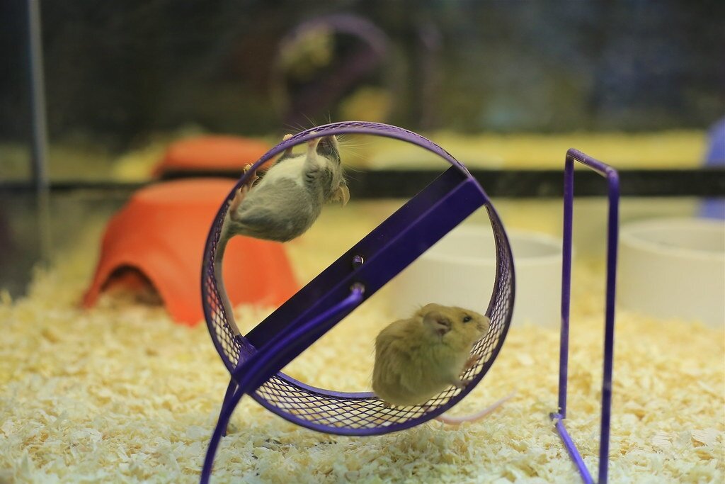 Фото: Mike / Flickr