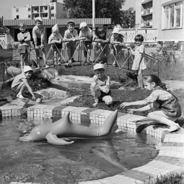 Мой детский садик ДЕЛЬФИН  и моя группа