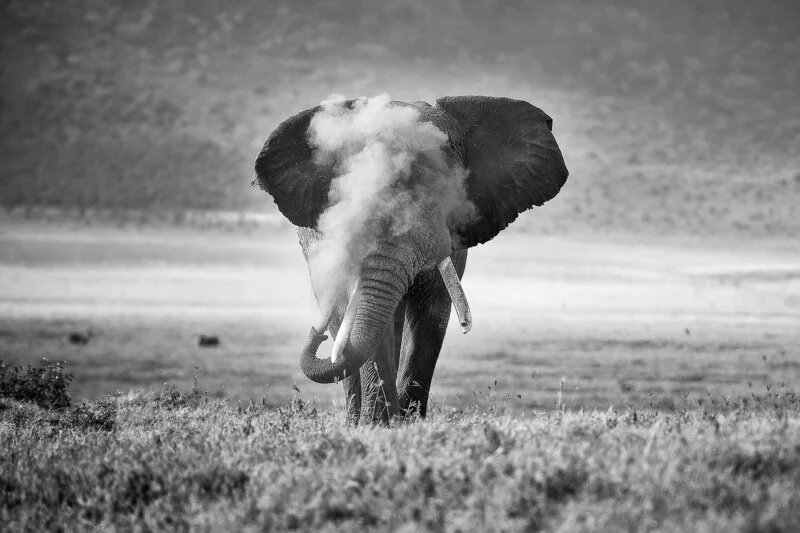    Фото: naturettl.com