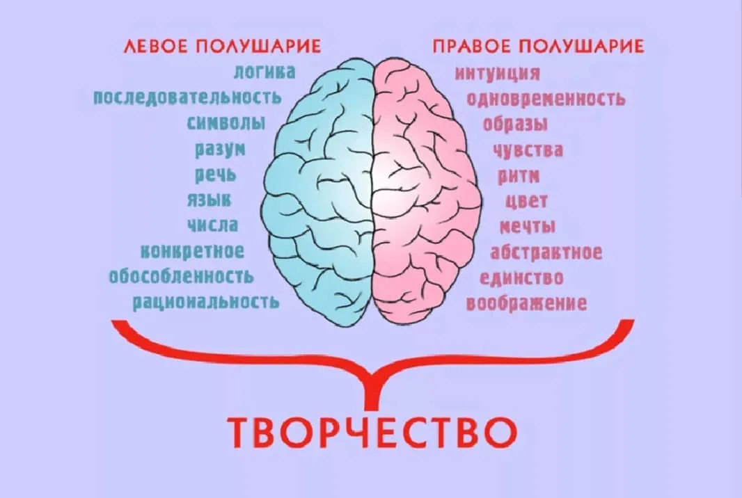 Логика лучшие. Полушария мозга. Правое полушарие. Правое полушарие мозга. Левое и правое полушарие.