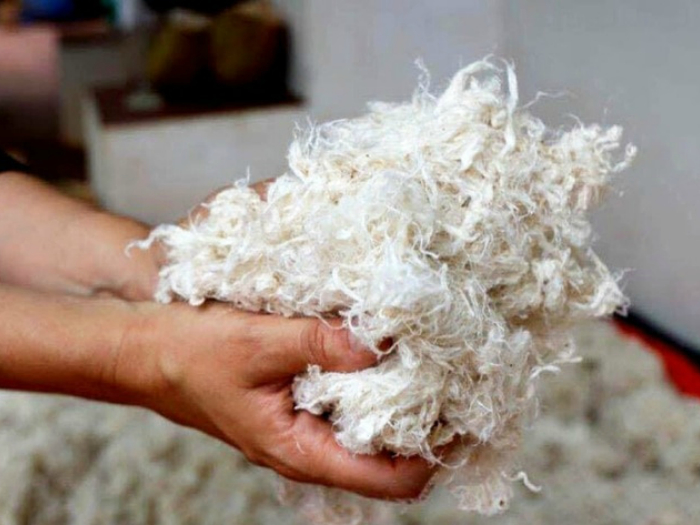 Веганский кашемир из растений