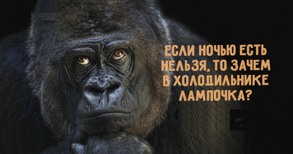 Источник фото: https://shutniks.com/smeshnye/12636-smeshnye-kartinki-obzhory