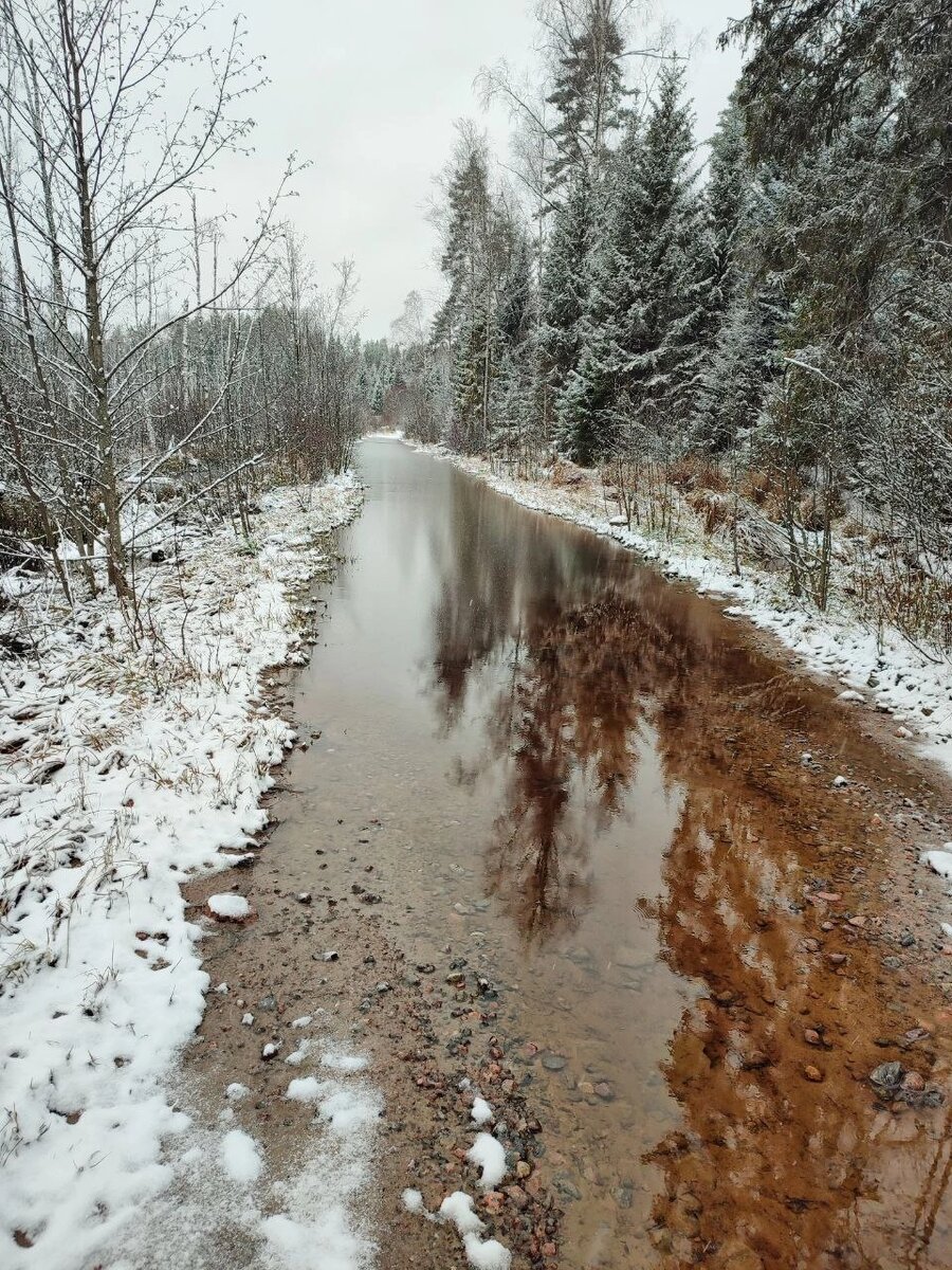 Дорога в Ояярви.