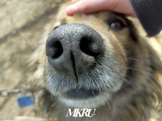   МК в Чите