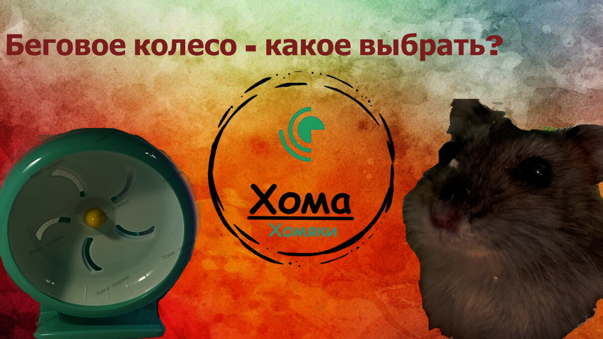 Обложка статьи