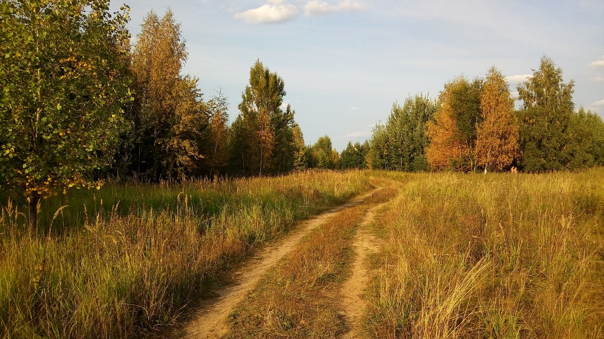 Начало сентября, холмы подернулись золотом