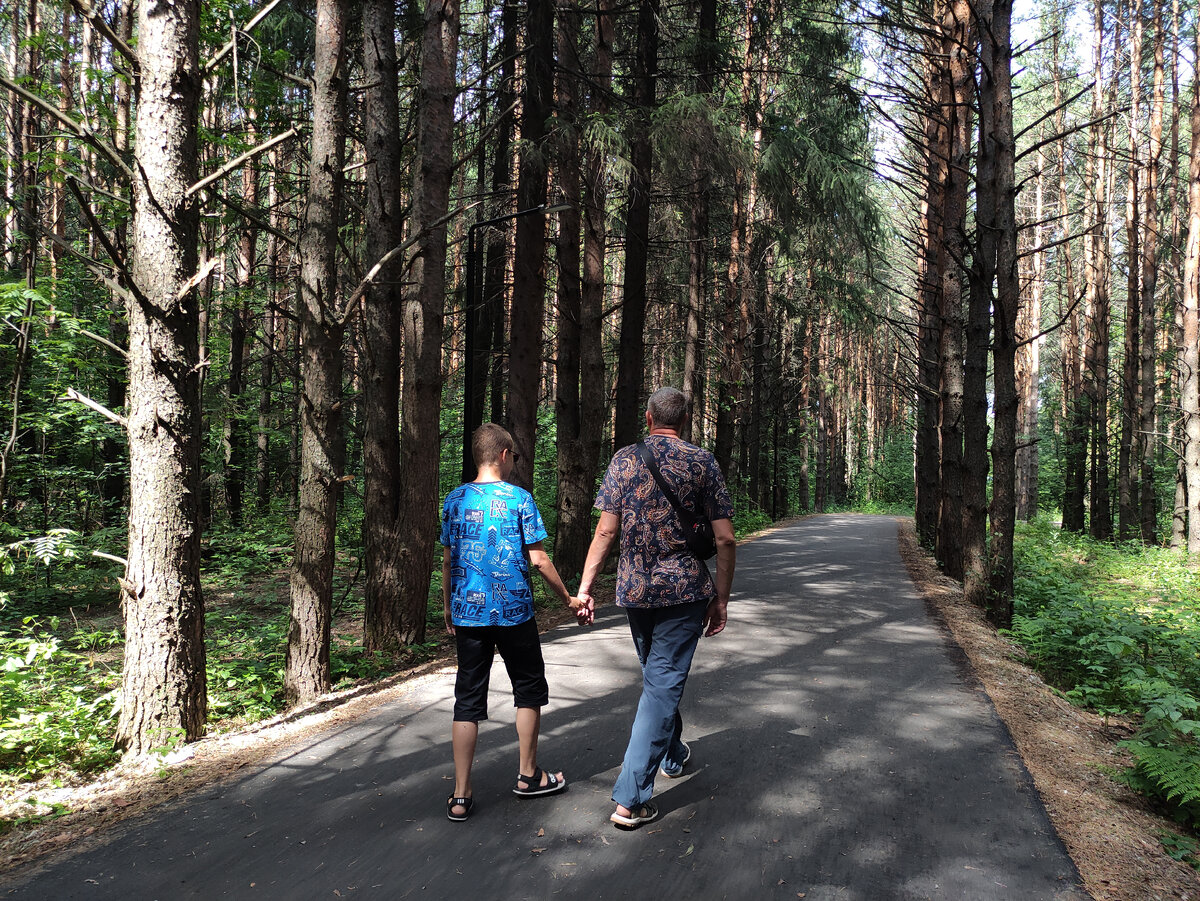 Мои путешественники