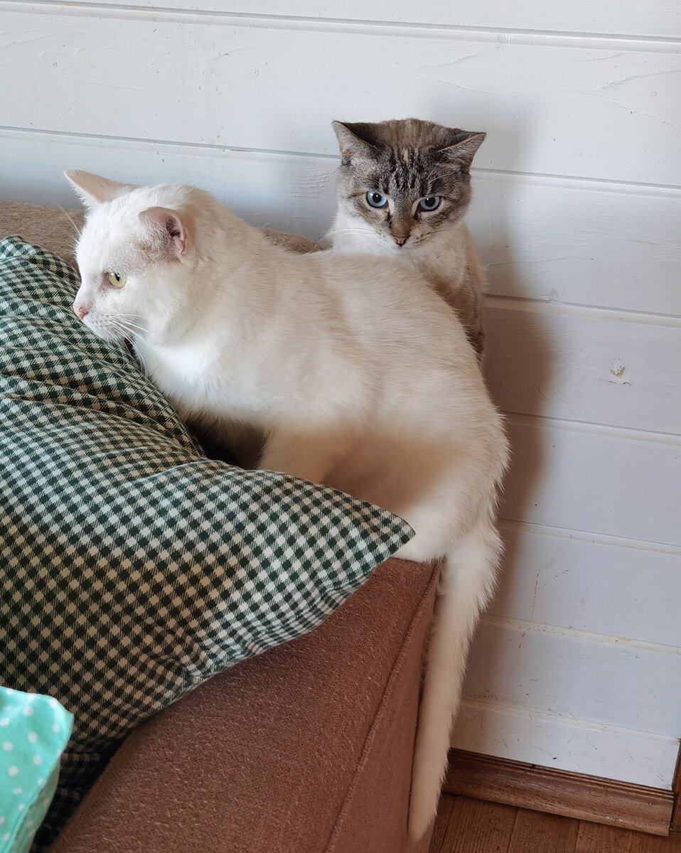 Это первые минуты после выхода из комнаты, ещё напуганы