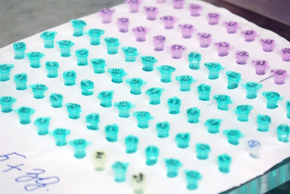 Фото предоставлено пресс-службой НИУ «БелГУ»