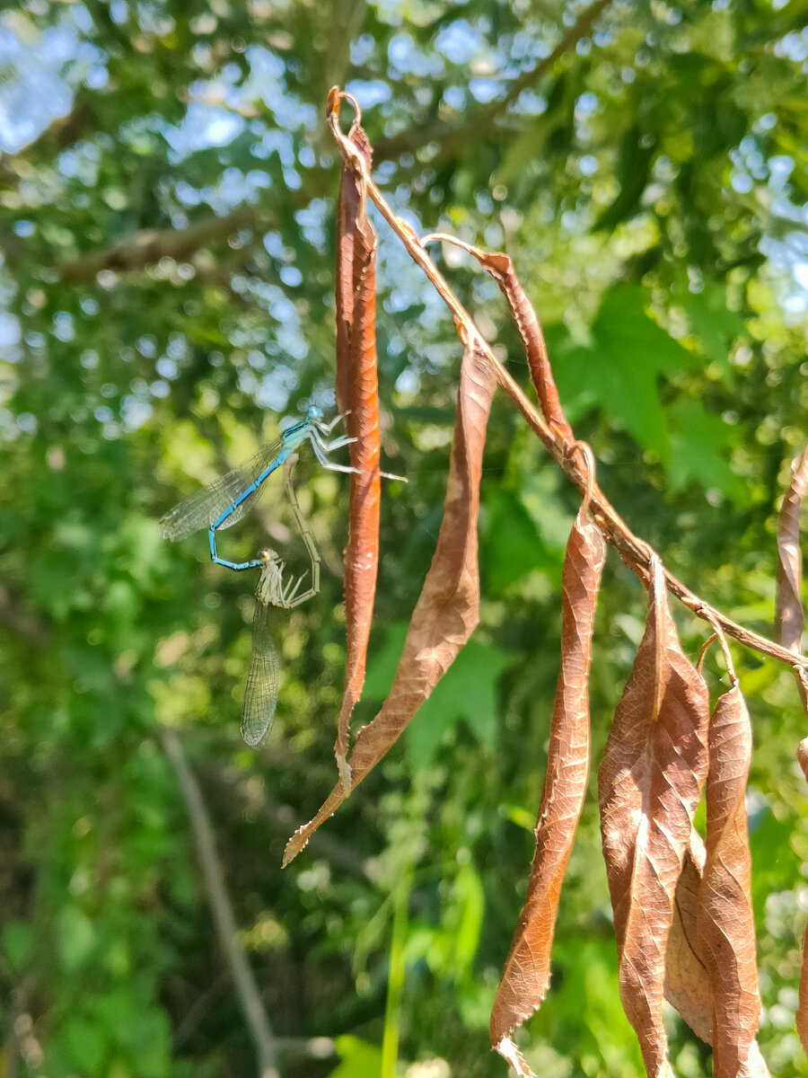 Вот кто на ком? Хотя так ли это важно?