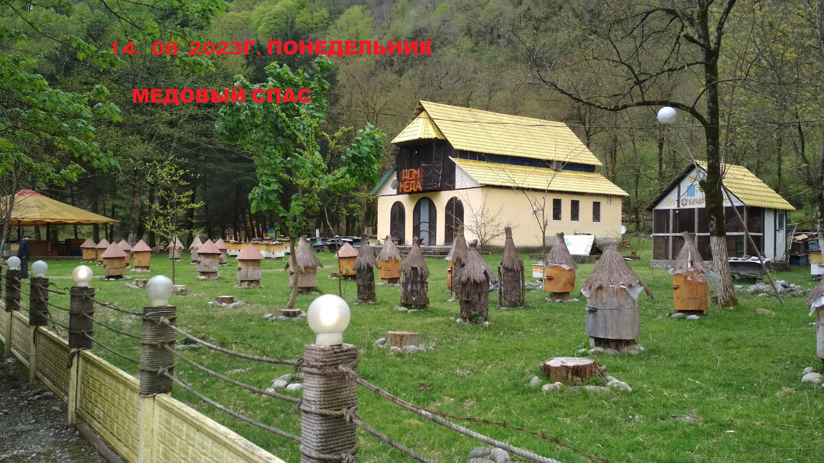 фото из личного архива автора 