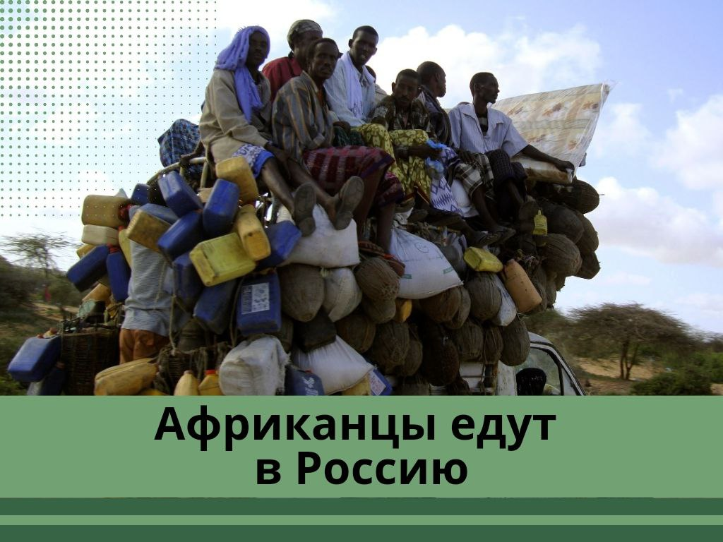 Россия отдала часть территории африканцам. Где построят новые поселения и  чем будут заниматься новые переселенцы? | Поручик Ржевский | Дзен