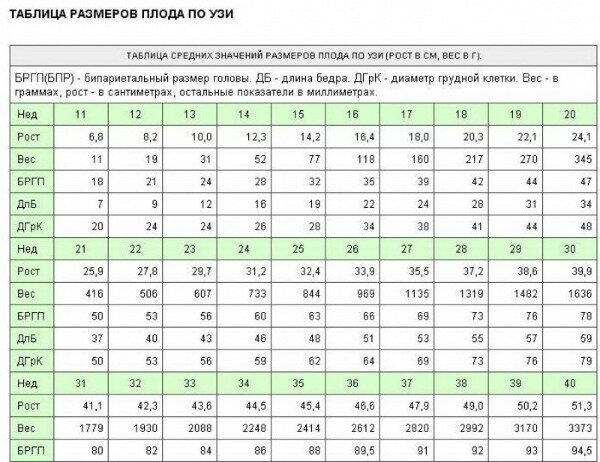 Размеры плода по неделям беременности: рост и вес