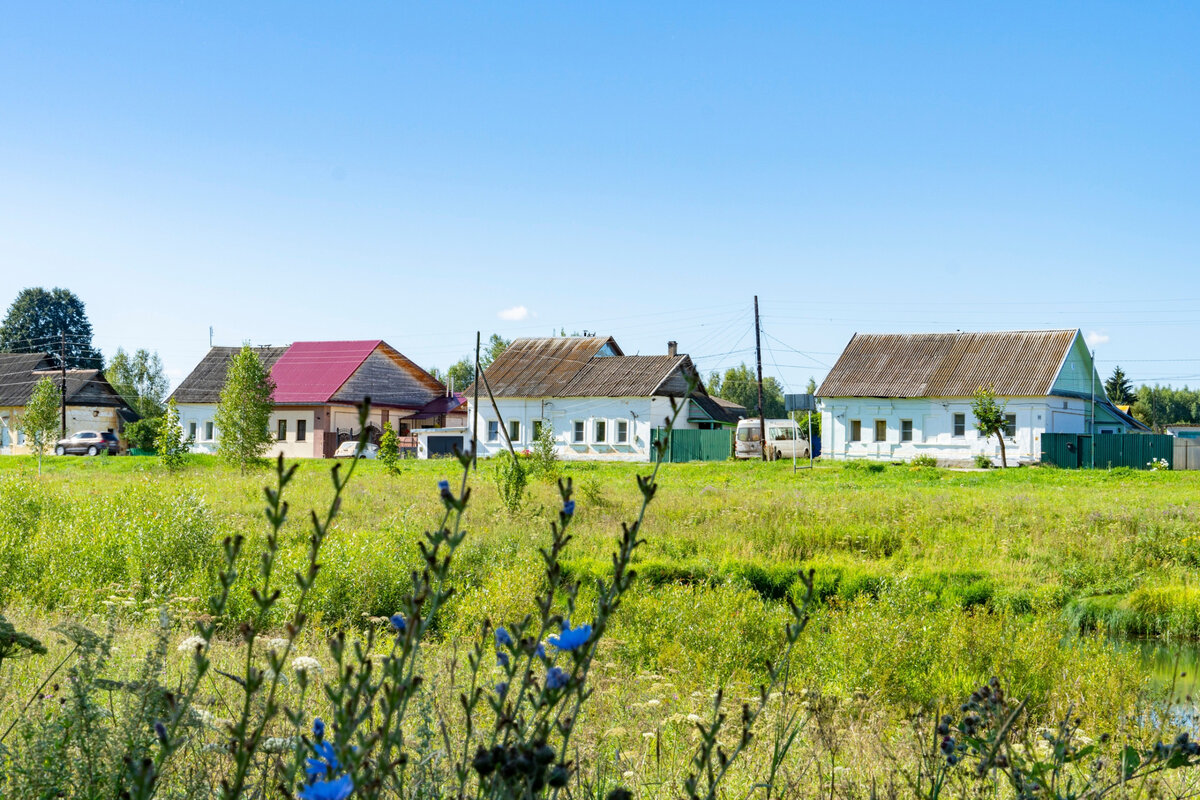 Знакомьтесь - Грузины!