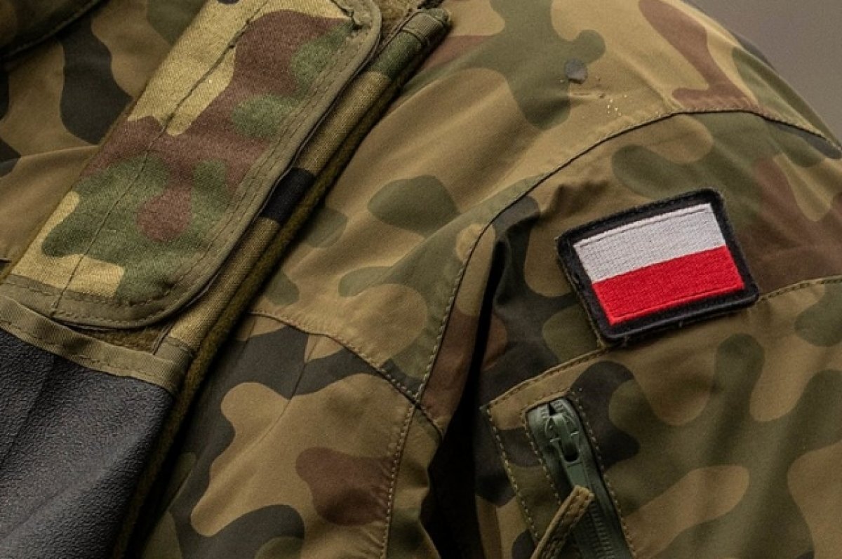   Эксперт Литовкин высказался о 10 тысячах погибших на Украине поляков