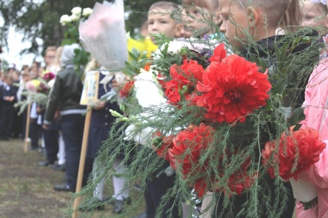    Сколько будет стоить букет цветов к 1 сентября?
