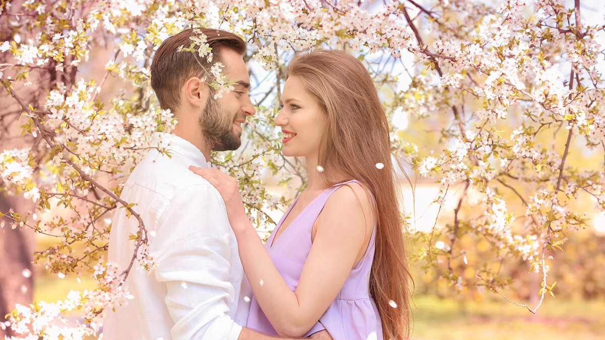 Изображение взято из свободных источников