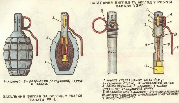 Гранаты виды картинки