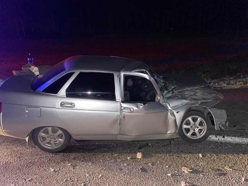    Фото пресс-службы ГУ МВД по Воронежской области