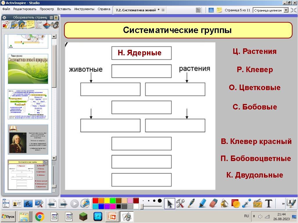 Урок в 7 классе (зоология). Классификация организмов и понятие вида.  Систематика | Елена Сова: пуд соли в школе | Дзен