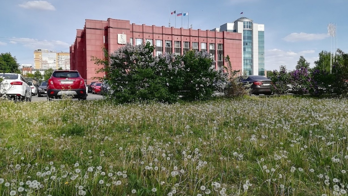 Друг в беде не бросит: спикер думы Ижевска обещал Бекмеметьеву покровительство