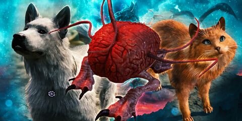 Взято из открытых источников 