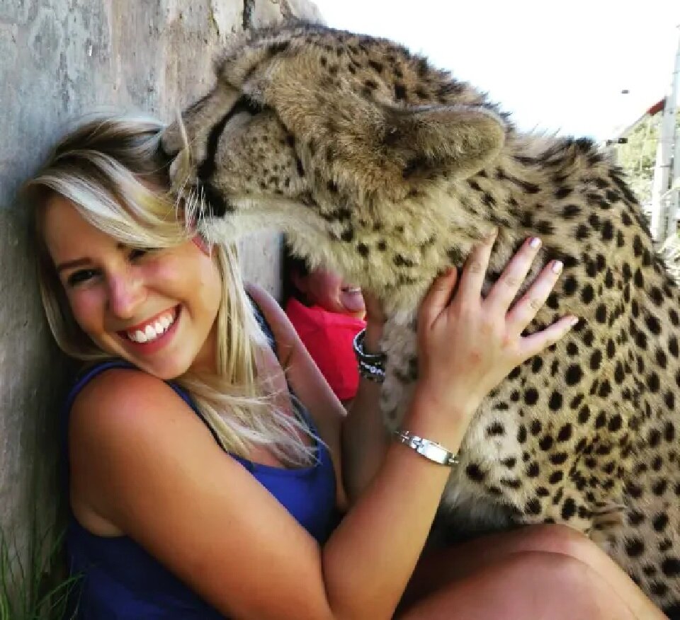 Вот так в благодарность зверь лижет человека