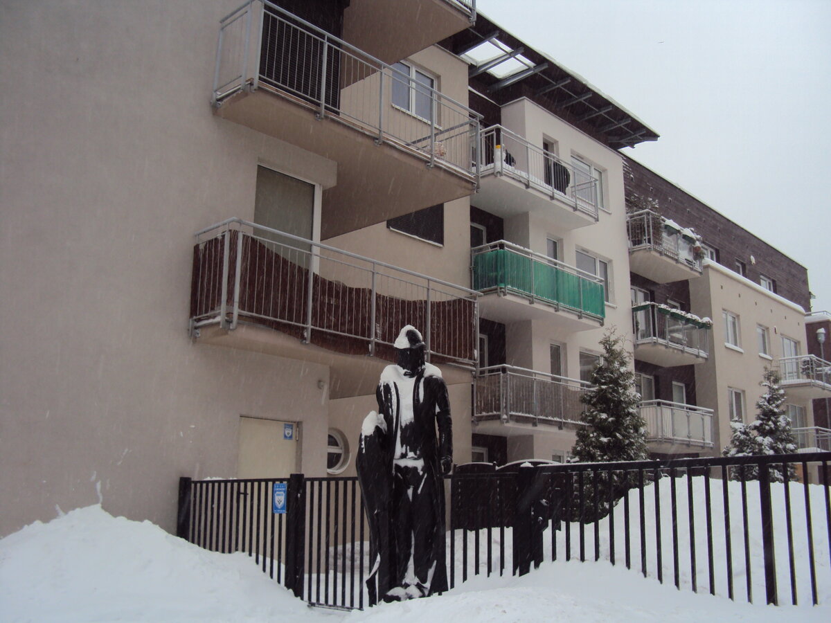 Здесь мы будем жить. 