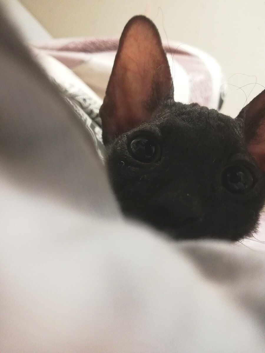 Если ты лежишь-значит и я тоже буду.