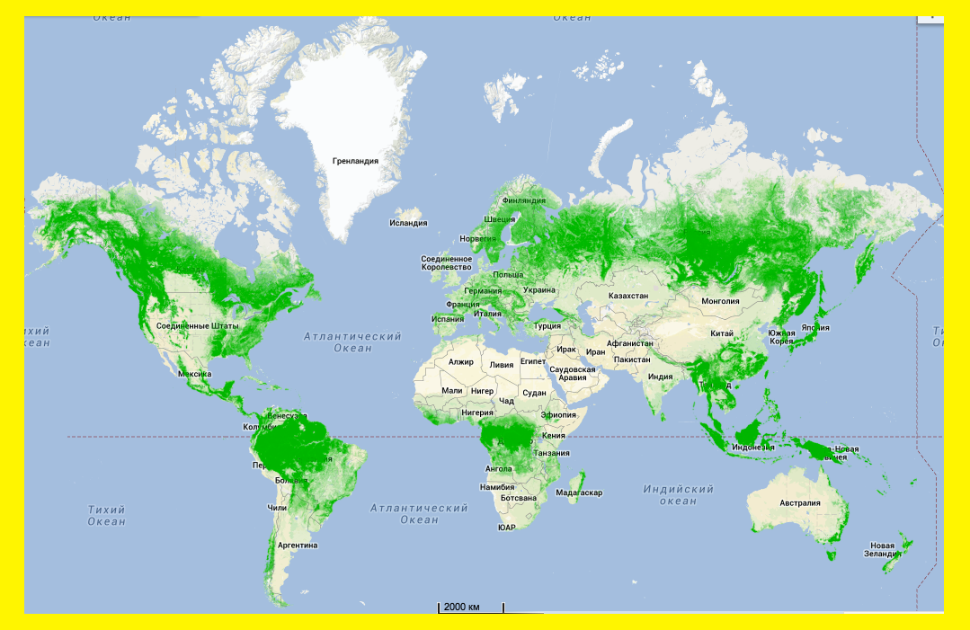 Самая большая зона в россии. Схематическая карта лесов мира. Тропические леса на карте мира. Карта лиственных лесов мира. Границы районов вырубки лесов на карте мира.