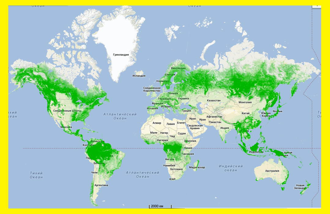 Районы планеты. Схематическая карта лесов мира. Тропические леса на карте мира. Карта лиственных лесов мира. Границы районов вырубки лесов на карте мира.