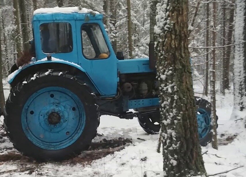 Изображение с сайта Яндекс. Картинки.