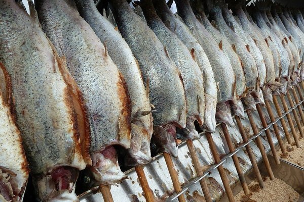 К сожалению, большинство видов рыб, которые поставляются из Китая, выращиваются в неволе (Фото: Pixabay.com)