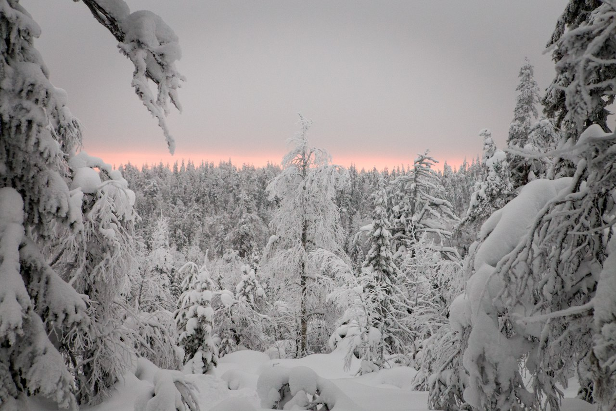 (Фото: Настасья Соломина)