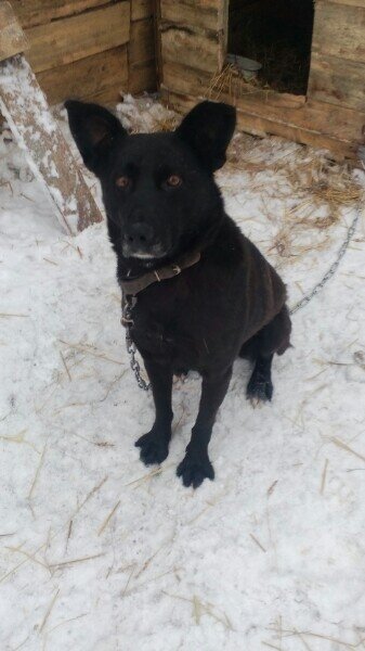 Фото взято из группы ВКонтакте Право на жизнь.
