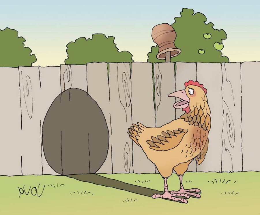 Что появилось первее курица. Куры карикатура. Курица с яйцами. Курятник карикатура. Курочка прикольная.