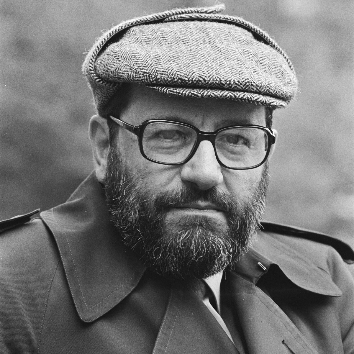 Фото: wikipedia.org