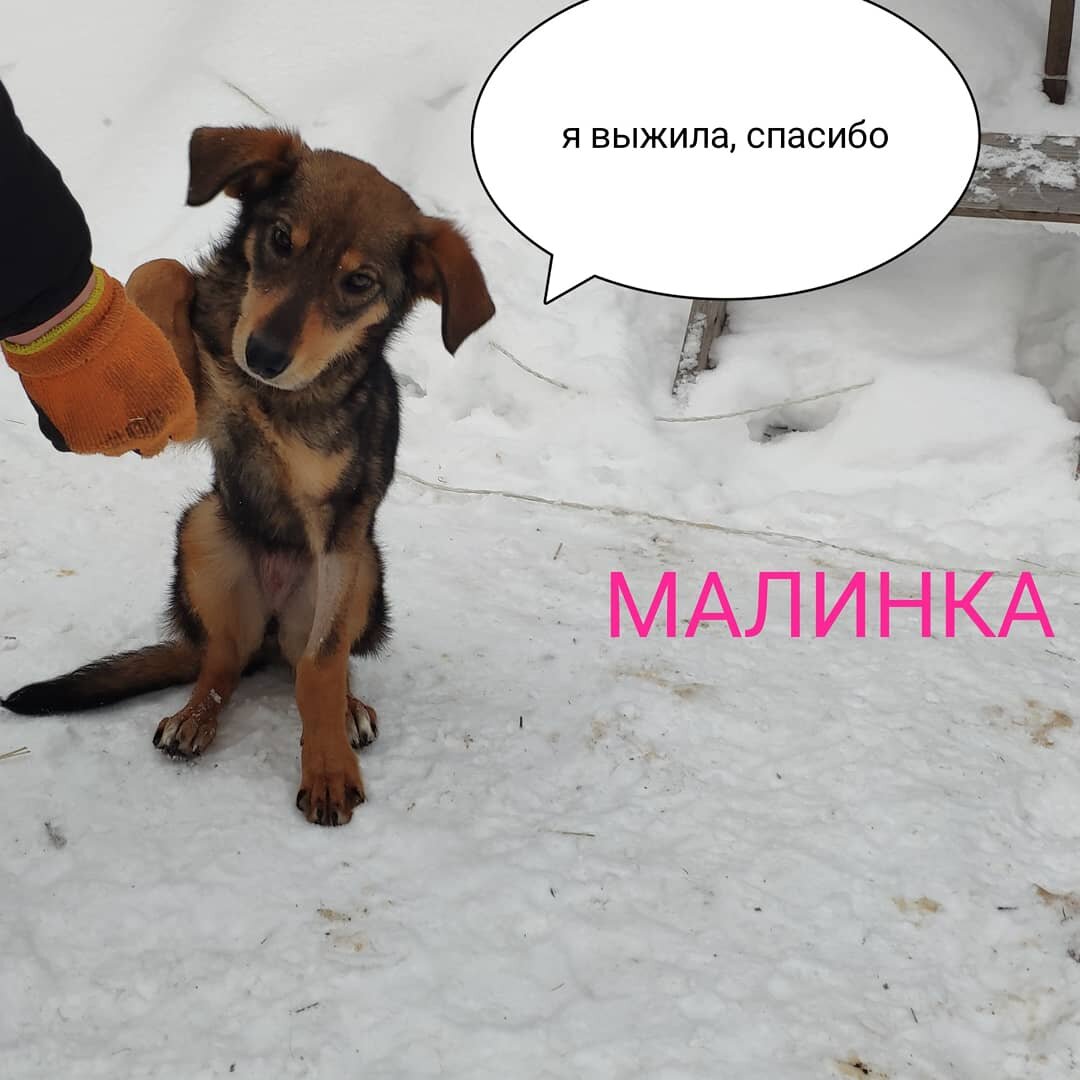 Я - Малинка и я - живая, Спасибо.